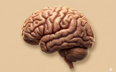 CAPÍTULO – 10 – A HISTÓRIA DA CRIAÇÃO